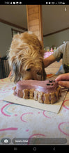 Load image into Gallery viewer, Small Dog Bone Shaped Birthday Cake
