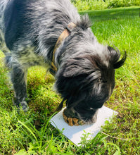 Load image into Gallery viewer, Small Dog Bone Shaped Birthday Cake
