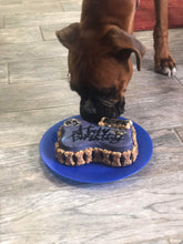 Load image into Gallery viewer, Small Dog Bone Shaped Birthday Cake
