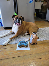 Load image into Gallery viewer, Small Dog Bone Shaped Birthday Cake
