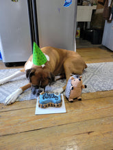 Load image into Gallery viewer, Small Dog Bone Shaped Birthday Cake
