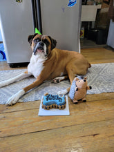 Load image into Gallery viewer, Small Dog Bone Shaped Birthday Cake
