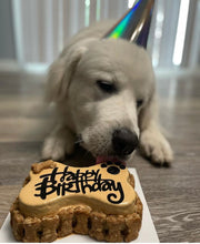 Load image into Gallery viewer, Small Dog Bone Shaped Birthday Cake
