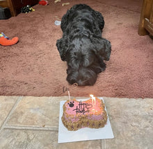 Load image into Gallery viewer, Small Dog Bone Shaped Birthday Cake
